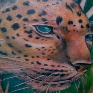 tatu slider 2