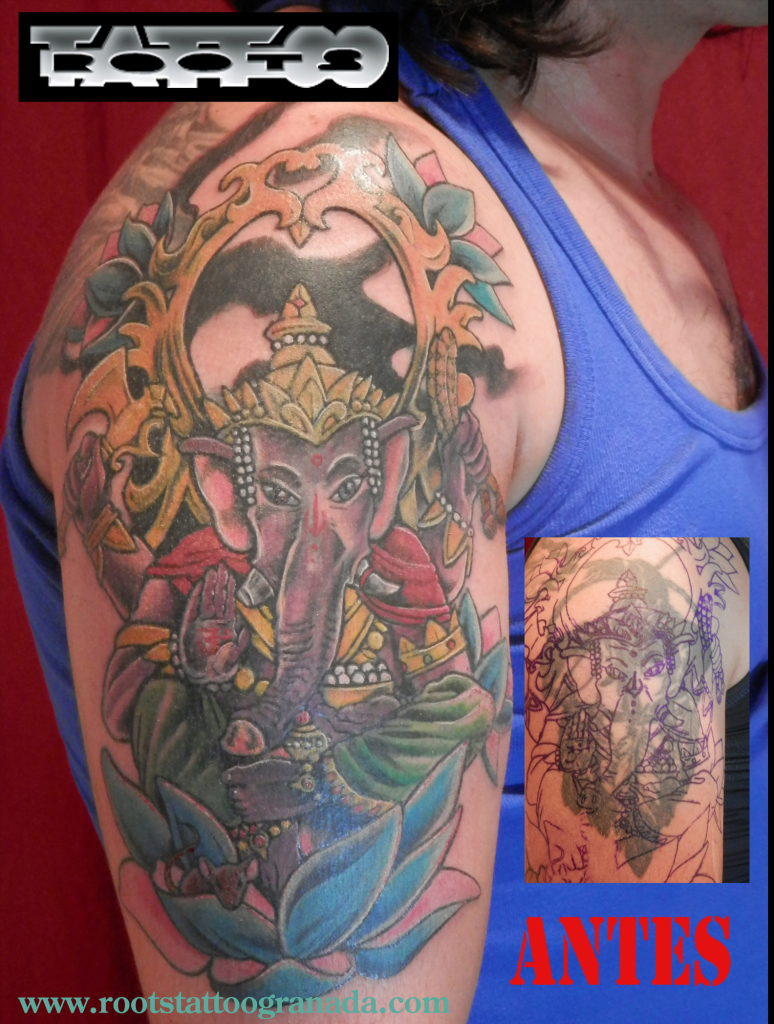 COVER-UP-ELEPHANT