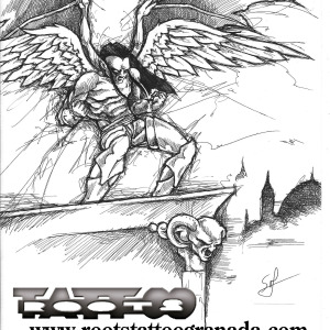 angel ambiguo