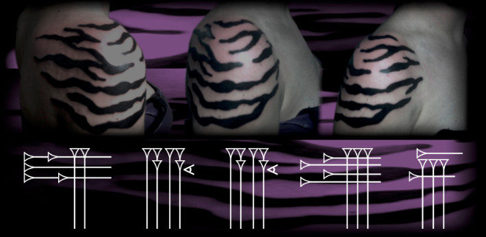 Tatuaje de manchas de cebra en hombro chica