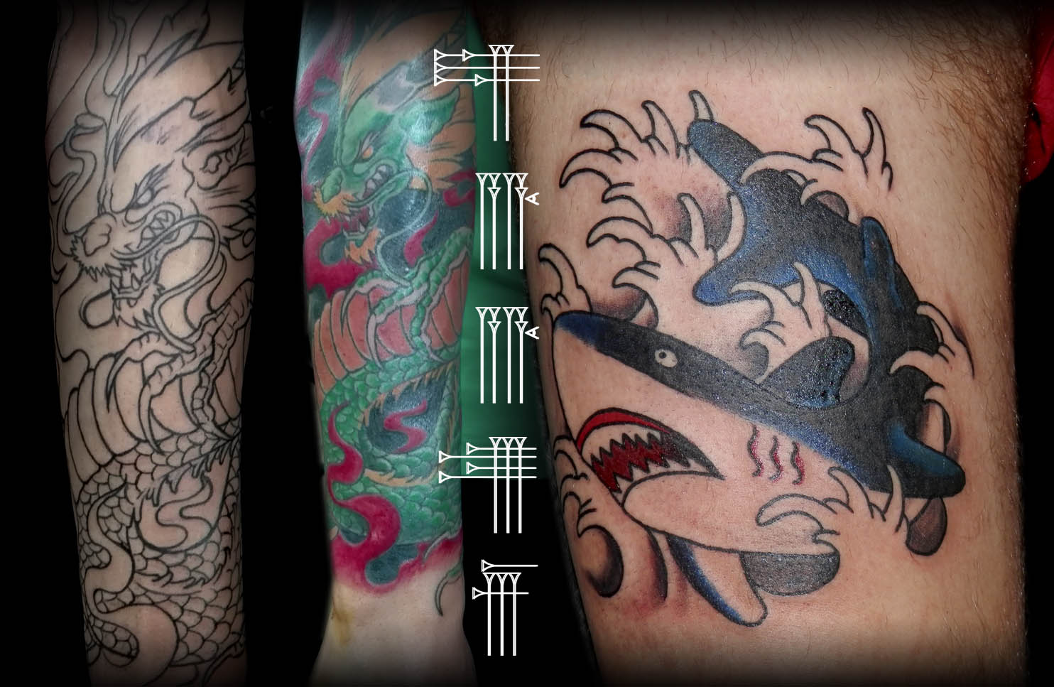 Tatuaje dragón y tiburón