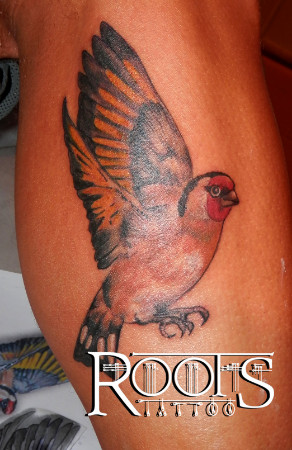 Tatuajes de aves en la pierna