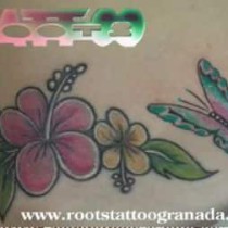 Tatuaje ingle chica (arreglo)