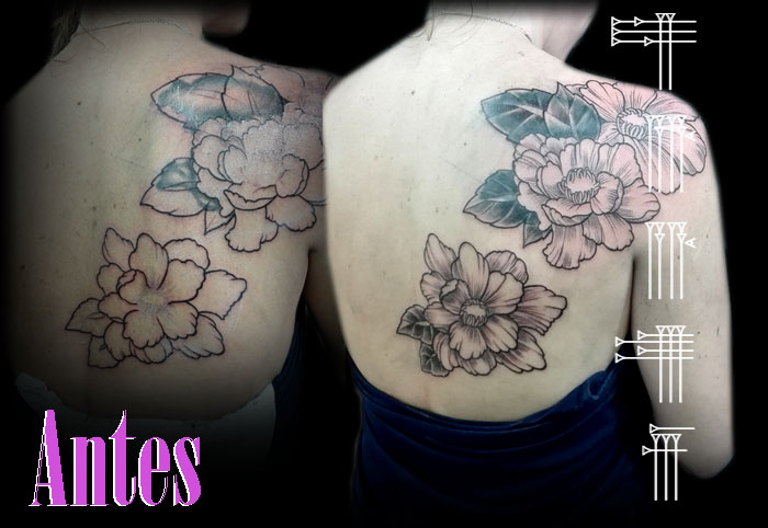 Coverup Granada
