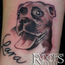 Perrito pequeño tatuado