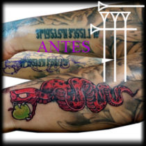 Coverup snake