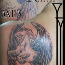 CABALLO ALADO COVER UP