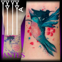 Cover ups pequeños a color