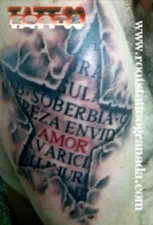 RECOPILACIÓN DE TATUAJES VOL XV (2013/4)