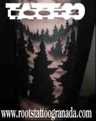 RECOPILACIÓN DE TATUAJES VOL XII (2013/1)