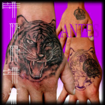 Tiger Tattoo in hand