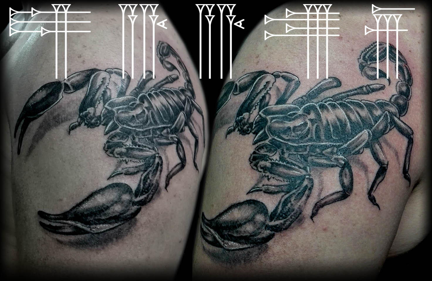 Scorpion tattoo