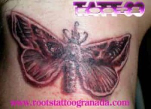 Tatuaje mariposa en el cuello