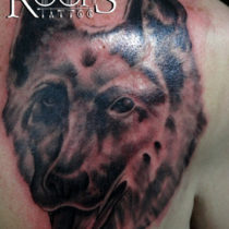 Retrato perro