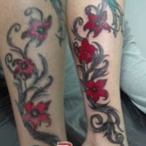 Enredadera con flores.