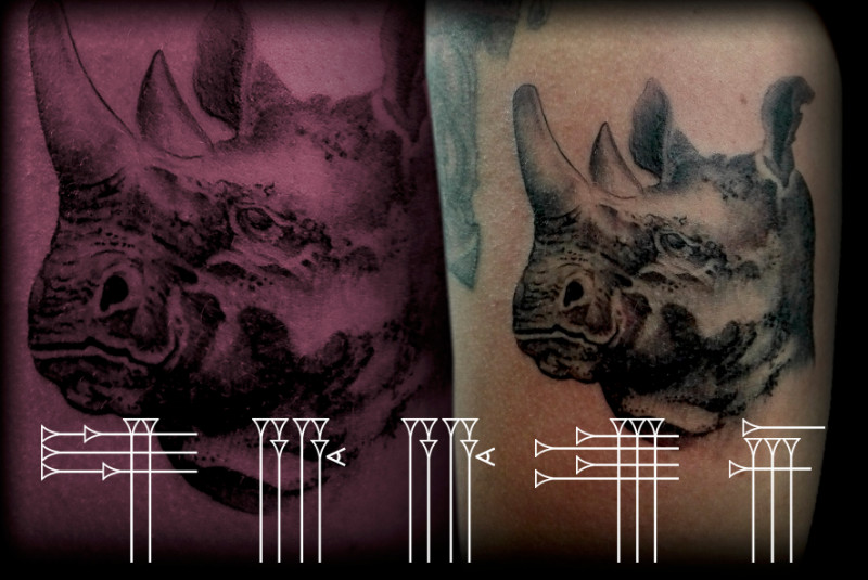 Animal tattoo