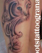 Felino gato ojos azules con flores ornamentación