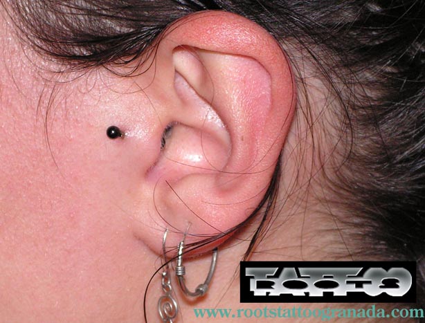 piercing tragus